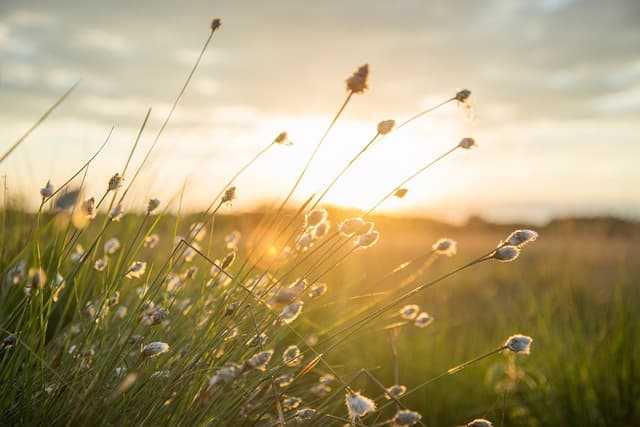 Why Install an Air Source Heat Pump? A Complete Guide for Norfolk & Suffolk Homeowners
