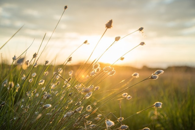 Why Install an Air Source Heat Pump? A Complete Guide for Norfolk & Suffolk Homeowners